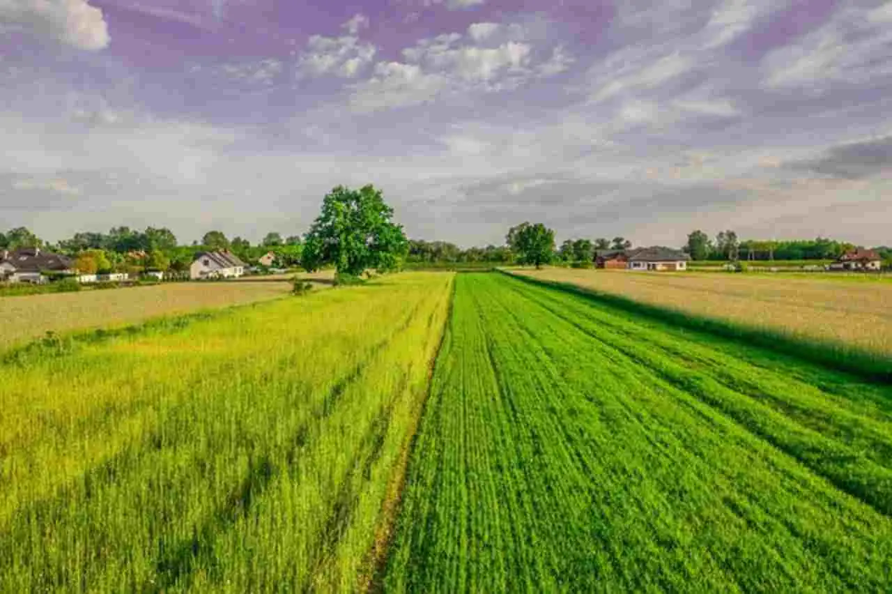 Vuoi costruire casa su terreno agricolo? Ecco la superficie minima necessaria per legge