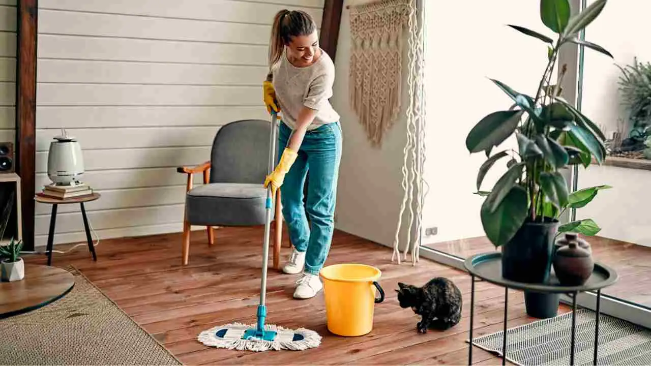 Vivi con cani o gatti? Ecco come disinfettare la casa senza rischi per la loro salute