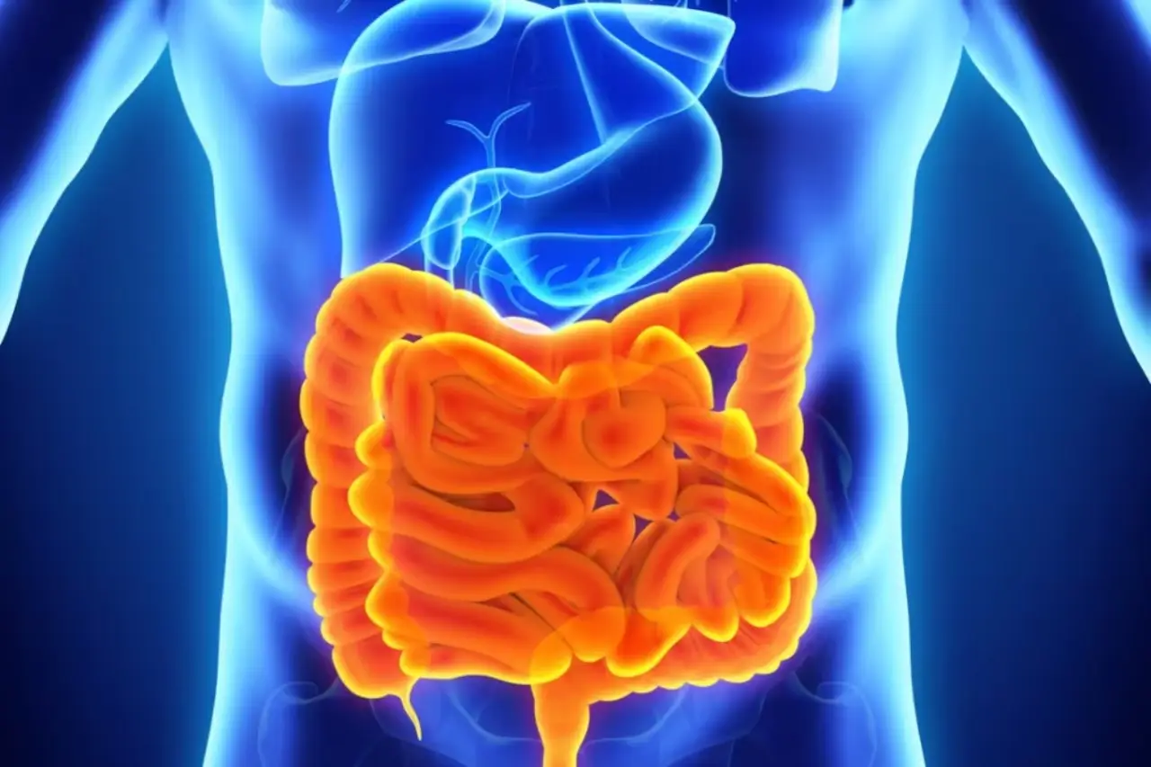 Quali sono i sintomi della celiachia negli adulti? I disturbi intestinali da non ignorare